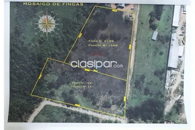 Terreno - Venta - Paraguay Central Mariano Roque Alonso Terreno de casi 54.000 m2 en Mari, foto 3