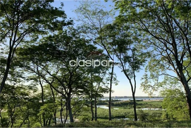 Terreno - Venta - Paraguay Central Mariano Roque Alonso Terreno de casi 54.000 m2 en Mari, foto 5