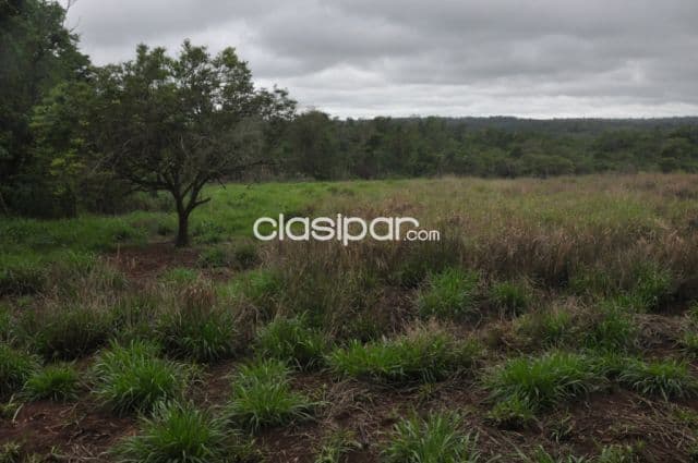 Terreno Rural en Puerto Bertoni con costa al Río Paraná - 31 Ha