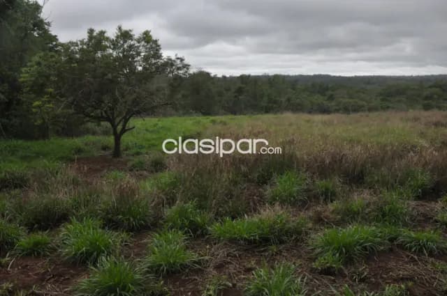 Terreno Rural en Puerto Bertoni con costa al Río Paraná - 31 Ha, foto 2