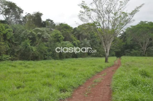 Terreno Rural en Puerto Bertoni con costa al Río Paraná - 31 Ha, foto 3