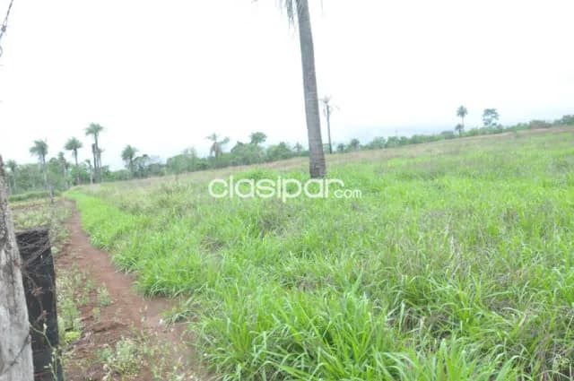 Terreno Rural en Puerto Bertoni con costa al Río Paraná - 31 Ha, foto 4