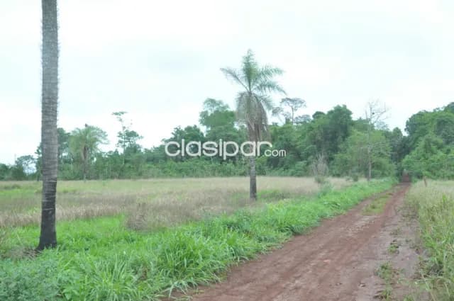 Terreno Rural en Puerto Bertoni con costa al Río Paraná - 31 Ha, foto 5