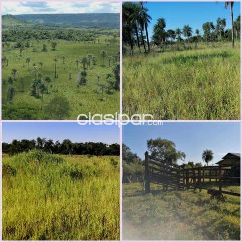 166 hectáreas formado. Se vende íntegramente produciendo. No incluye animales de contado.!