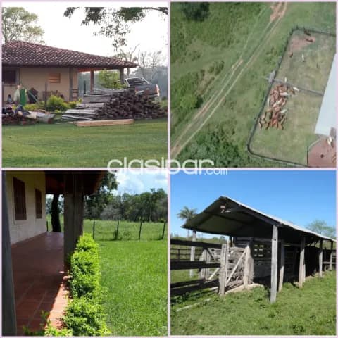 166 hectáreas formado. Se vende íntegramente produciendo. No incluye animales de contado.! — foto 3