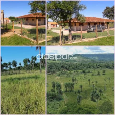 166 hectáreas formado. Se vende íntegramente produciendo. No incluye animales de contado.! — foto 5