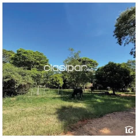 S/ ruta Luque – sanber, oportunidad: 2.800 m2 en esquina + vivienda, terreno excepcional, foto 4