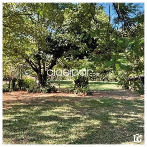 S/ ruta Luque – sanber, oportunidad: 2.800 m2 en esquina + vivienda, terreno excepcional, foto 5