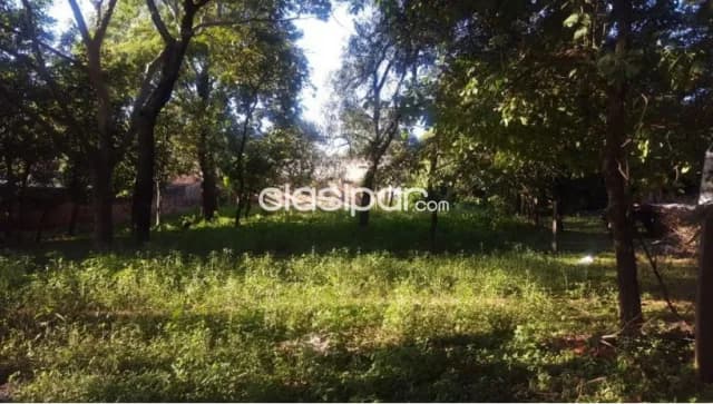 Mr alonso: 420 m2 deposito + 4.000 m2 exterior p/ caminones etc. 12.000.000 gs, foto 5