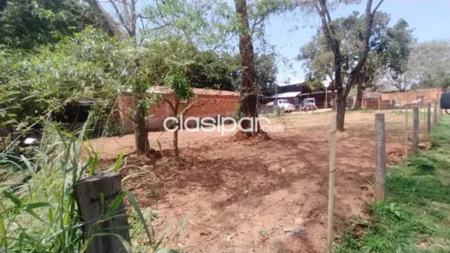 Terreno en Luque-mora cue cod 1319 — foto 5