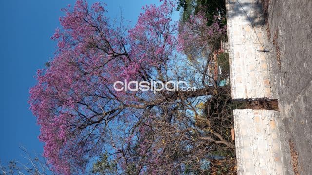 Terreno en San Lorenzo Reducto zona residencial y único por este mes oferta. Aproveche !! — foto 1