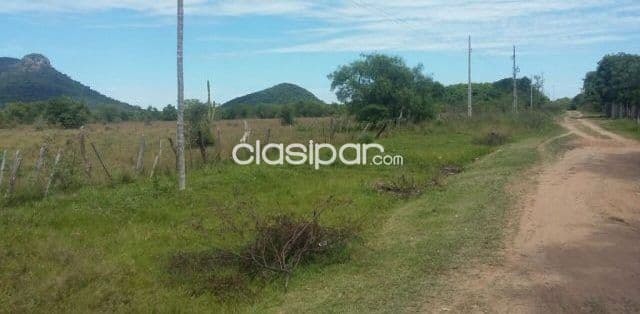 Propiedad de 7 hectareas en paraguari. Cod 1473 — foto 1