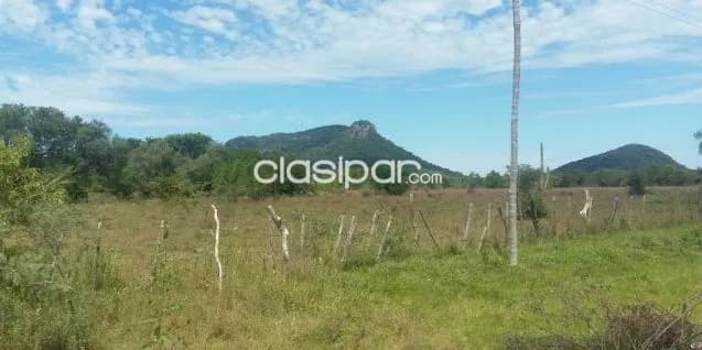 Propiedad de 7 hectareas en paraguari. Cod 1473 — foto 3