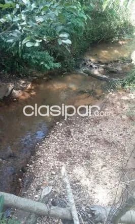 Propiedad de 7 hectareas en paraguari. Cod 1473 — foto 4