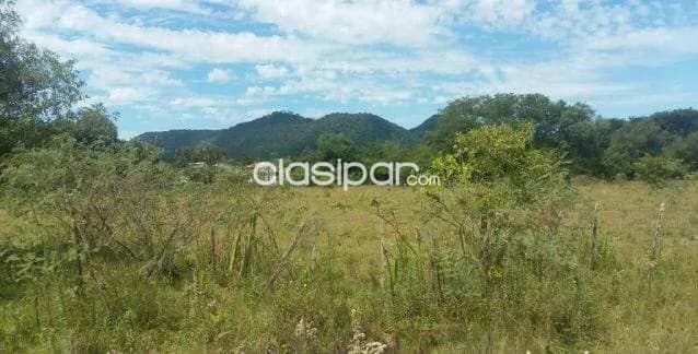 Propiedad de 7 hectareas en paraguari. Cod 1473 — foto 5