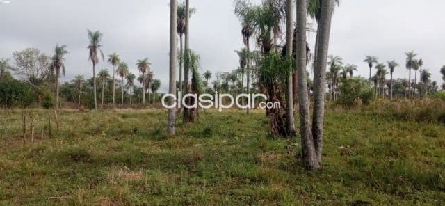 cinco terrenos a la venta, foto 1
