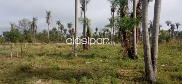 cinco terrenos a la venta, foto 3