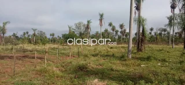 cinco terrenos a la venta, foto 4