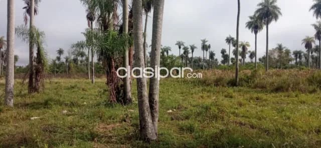 cinco terrenos a la venta, foto 5
