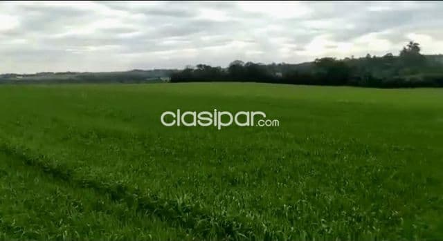 Terreno Rural Mecanizado en Capitan Miranda - 15 Ha