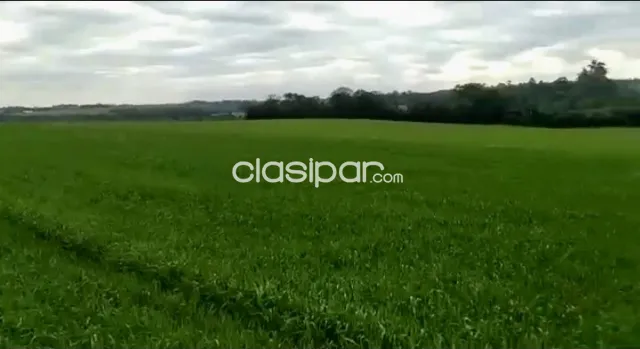 Terreno Rural Mecanizado en Capitan Miranda - 15 Ha — foto 2