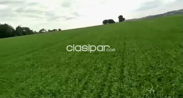 Terreno Rural Mecanizado en Capitan Miranda - 15 Ha — foto 3
