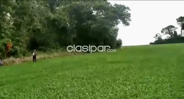 Terreno Rural Mecanizado en Capitan Miranda - 15 Ha — foto 4