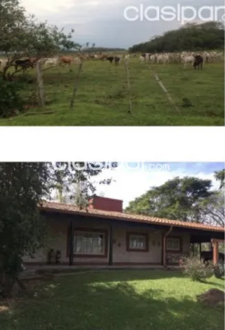 Campo Agrícola/Ganadero en Santani - 200 Ha — foto 3