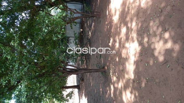 Terreno en San Lorenzo Ramal Luque linda zona por este mes Oferta !!