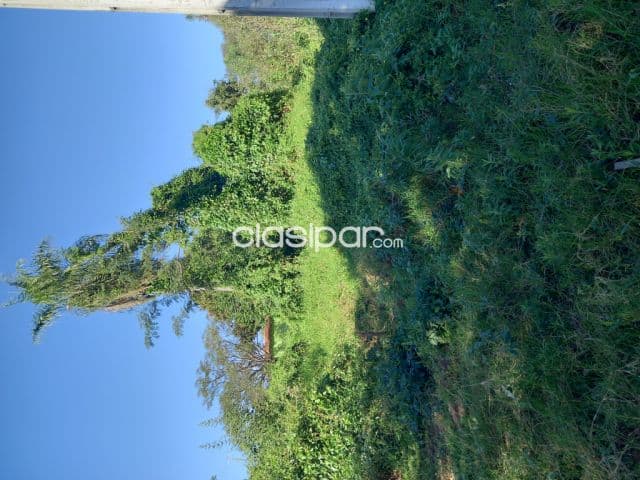 Terrenos en San Lorenzo Callei Oferta 180 mill. por este mes .Aproveche !