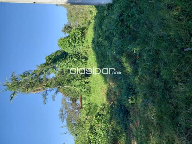 Terrenos en San Lorenzo Callei Oferta 180 mill. por este mes .Aproveche !, foto 2