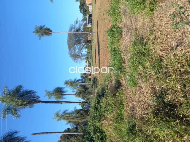 Terrenos en San Lorenzo Callei Oferta 180 mill. por este mes .Aproveche !, foto 4