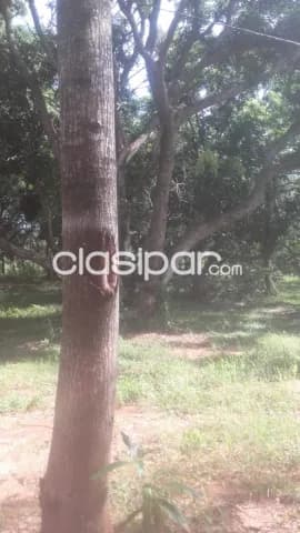 Terreno en San Lorenzo, cerca del centro, barrio residencial, oferta por este mes !!, foto 3