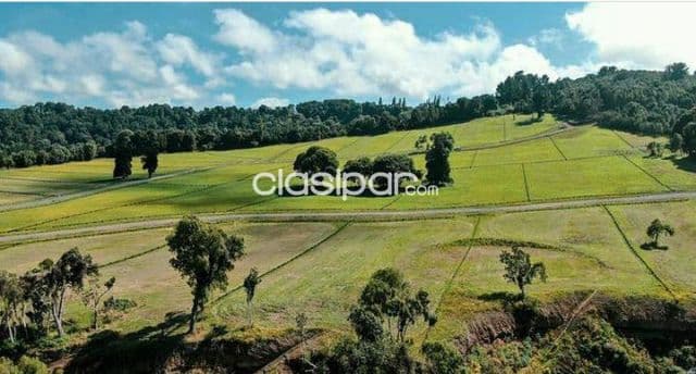 🕺Atención Inversores!! VENDO 3 hectáreas 1/2 en Villa Bancaria