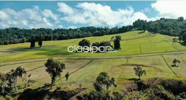 🕺Atención Inversores!! VENDO 3 hectáreas 1/2 en Villa Bancaria — foto 2