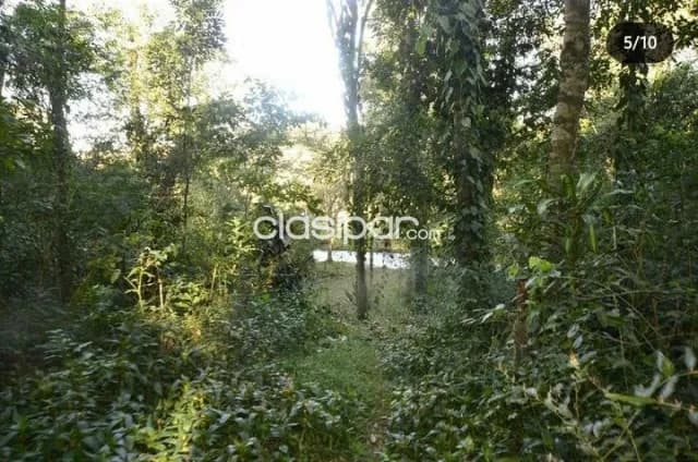 🕺🇵🇾 Vendo hermosa propiedad en el km 14 Acaray!, foto 5