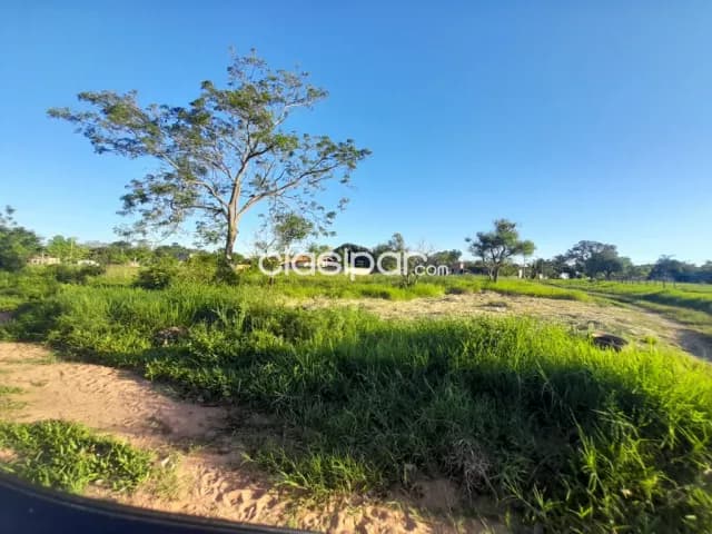 Terreno en Luque loma merlo cod 1327, foto 3