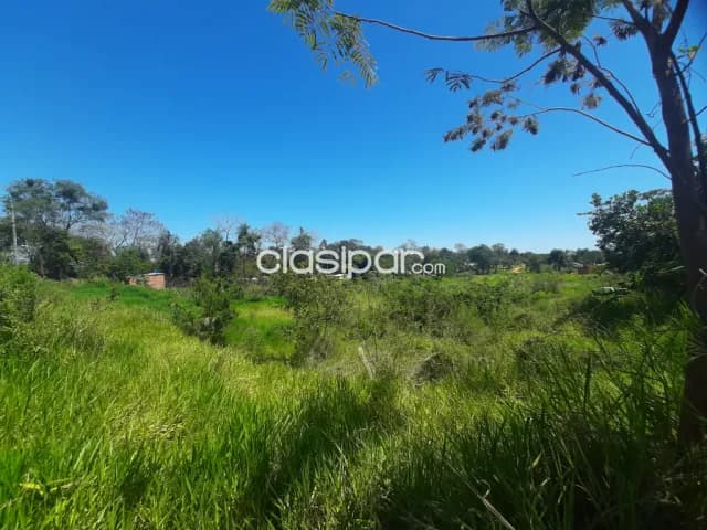 1 hectárea en Luque - itapuamí — foto 4