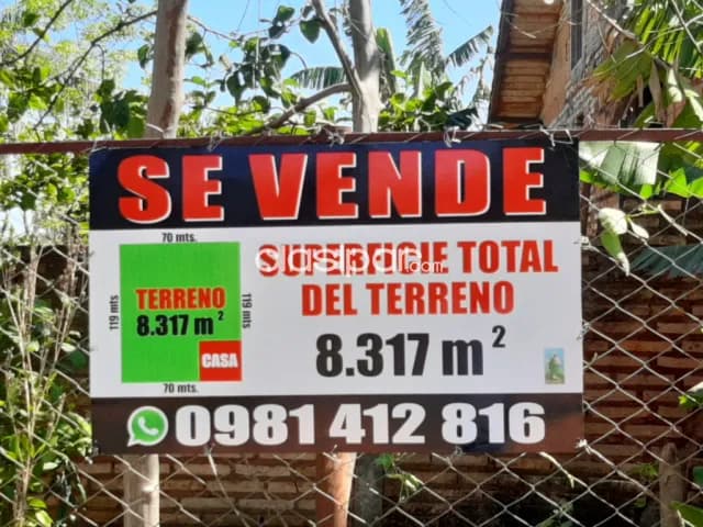 1 hectárea en Luque - itapuamí — foto 3
