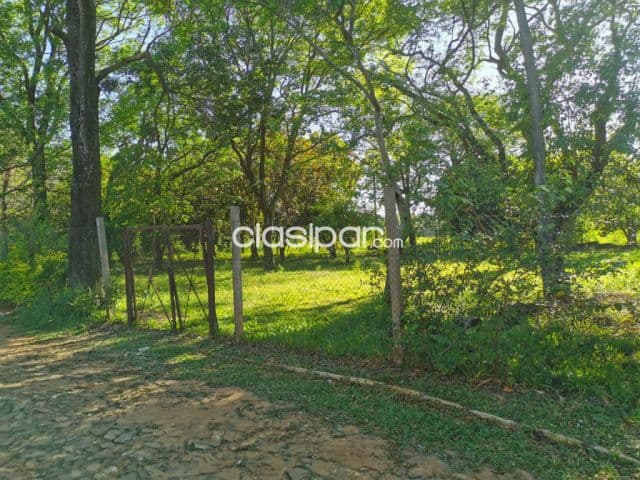 En Luque zona conmebol hermoso terreno de 1.500 m2 -clla4723024