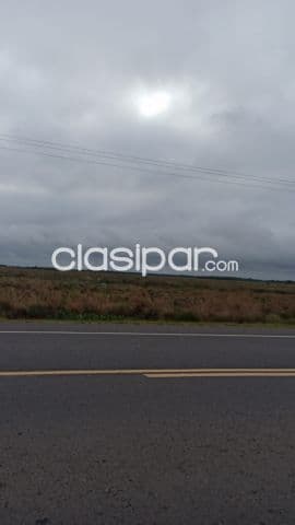Ñeembucú – pilar s/ ruta afaltada: 50 has inmejorables, p/ crianza, gallineria, granja, foto 1