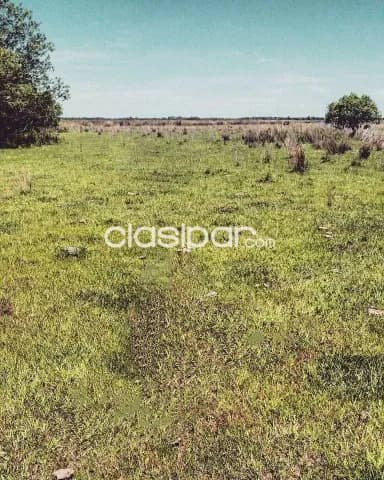 Ñeembucú – pilar s/ ruta afaltada: 50 has inmejorables, p/ crianza, gallineria, granja, foto 4
