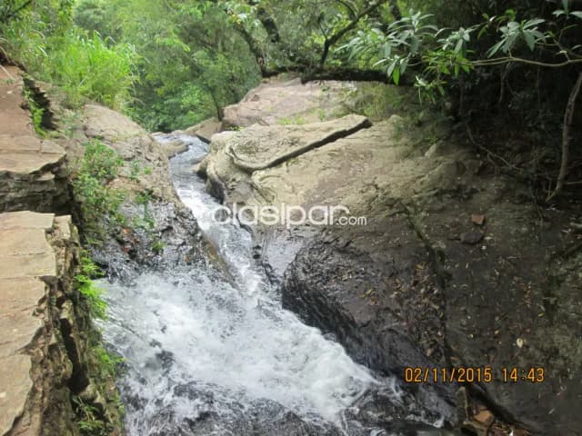 Terreno en Natalio Itapua 7 hectáreas con Arroyo Oferta por este mes para disfrutar ya.! — foto 3