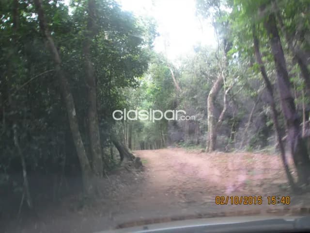 Terreno en Natalio Itapua 7 hectáreas con Arroyo Oferta por este mes para disfrutar ya.! — foto 5