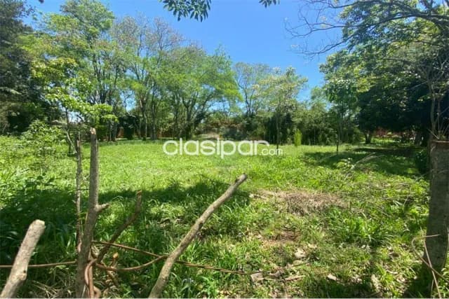 Terreno en venta en alto paraná, foto 5