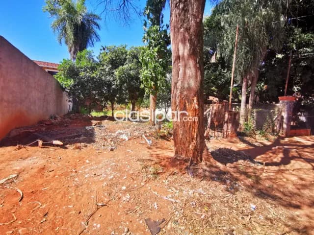 Fernando Sur Terreno, foto 5