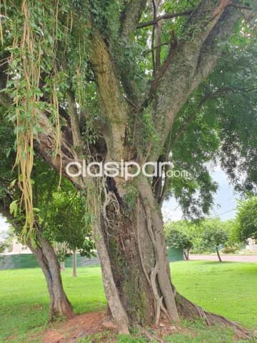 Terreno en aqua village, foto 5