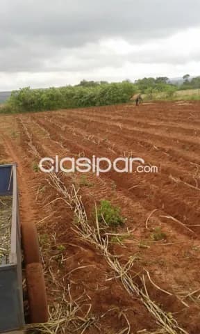 Bajo De Precio Capiibary San Pedro 990 Has S Ruta Asfaltada En Funcionamiento, foto 5