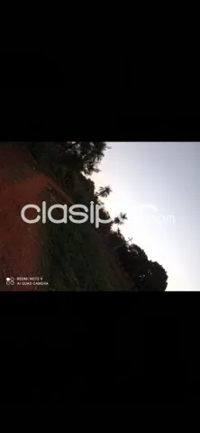 Limpio – z/ salado: 14.542m2 prox. Asfalto, inversión segura, grandes emprendimientos — foto 4