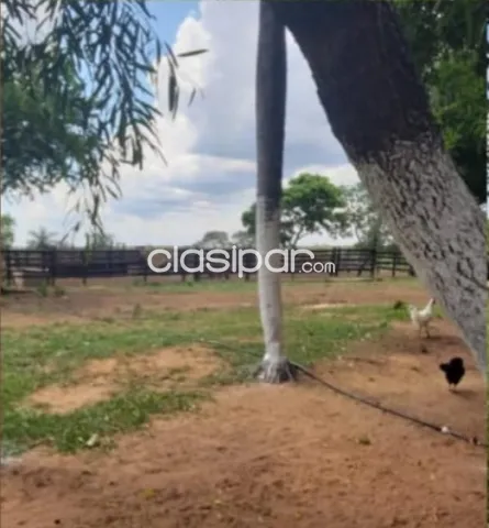 Emboscada: 20 has, ideal p/ granja, fin de semana, ganadería, etc, 100.000.000 gs/ha, foto 3